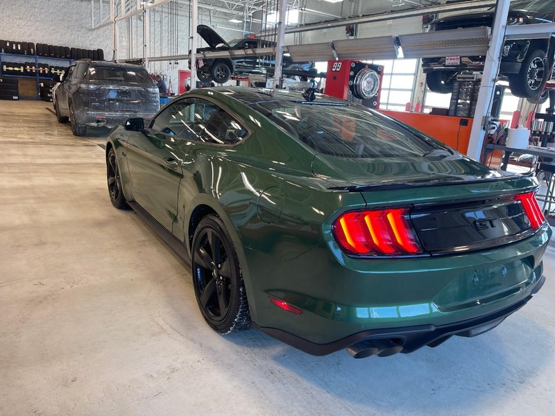 Ford Mustang Vehicle Image 04
