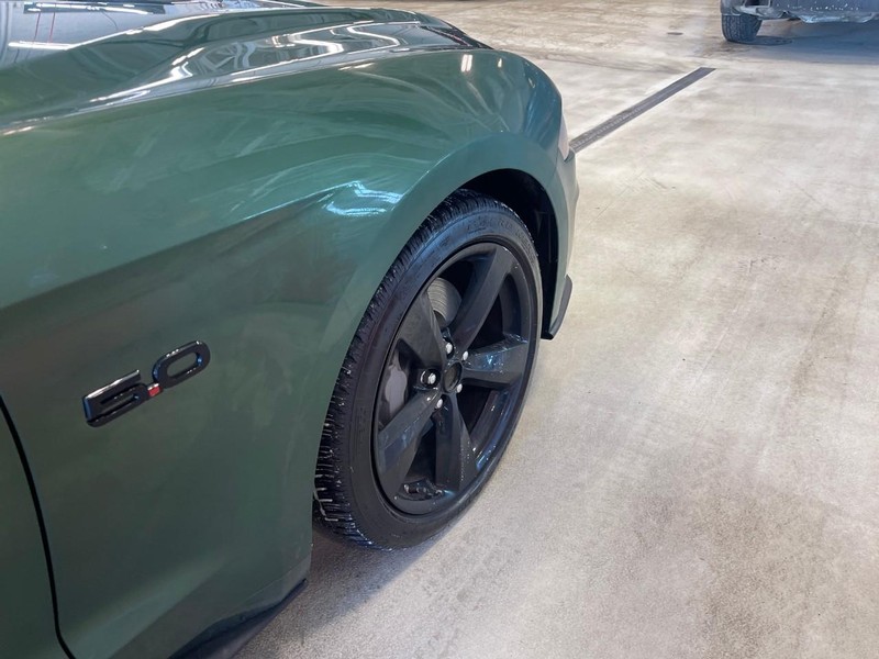 Ford Mustang Vehicle Image 05