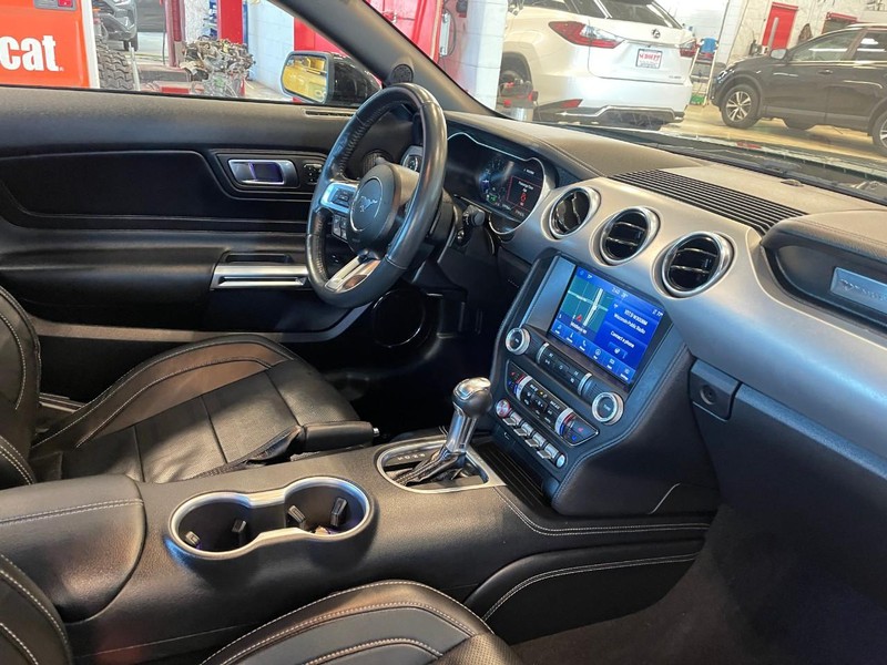 Ford Mustang Vehicle Image 06