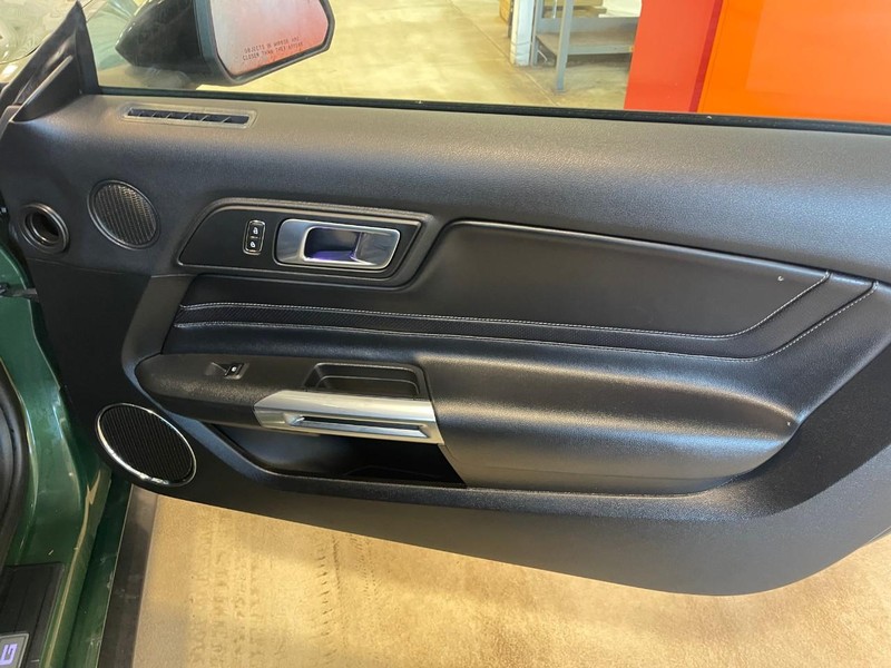 Ford Mustang Vehicle Image 11