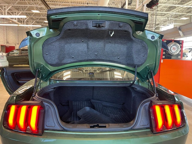 Ford Mustang Vehicle Image 12