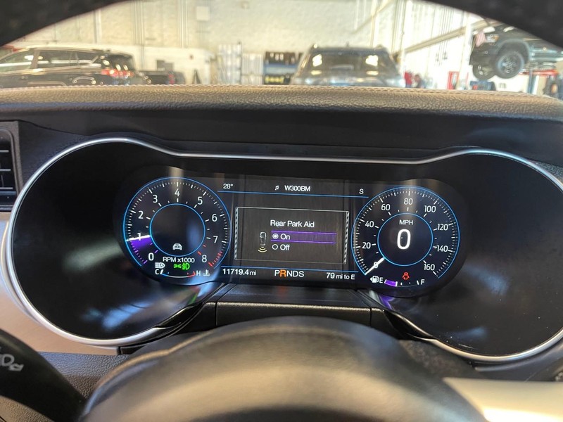 Ford Mustang Vehicle Image 23