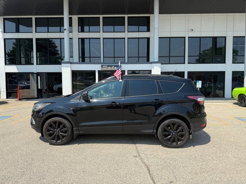 Ford Escape Vehicle Image 08