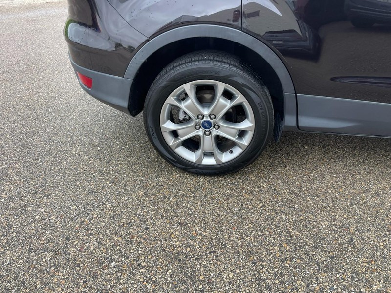 Ford Escape Vehicle Image 08