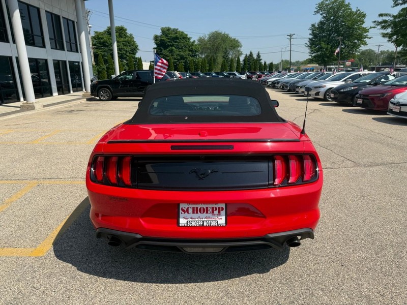 Ford Mustang Vehicle Image 06