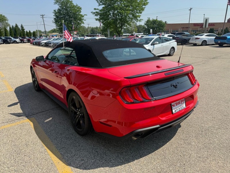 Ford Mustang Vehicle Image 07