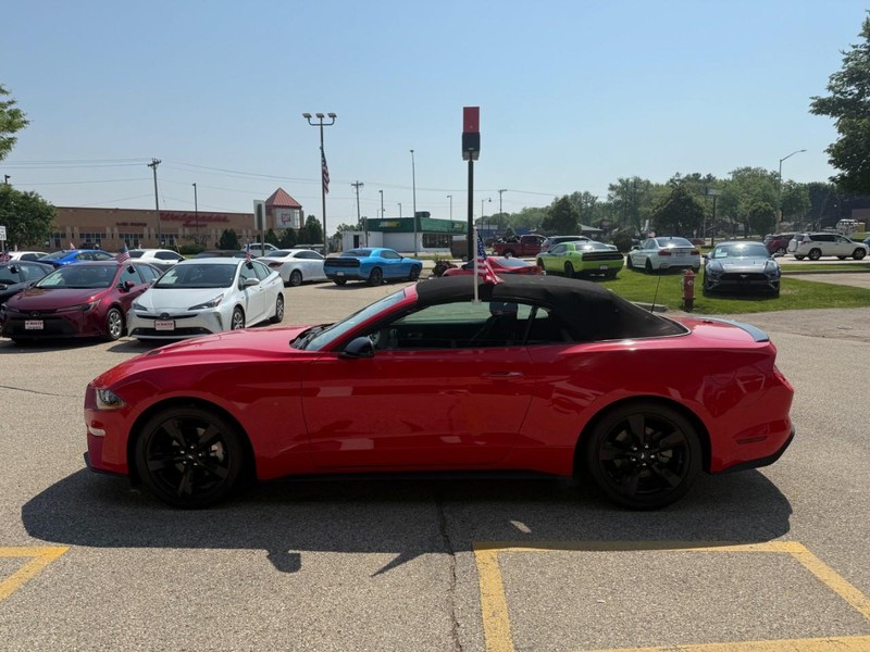 Ford Mustang Vehicle Image 08