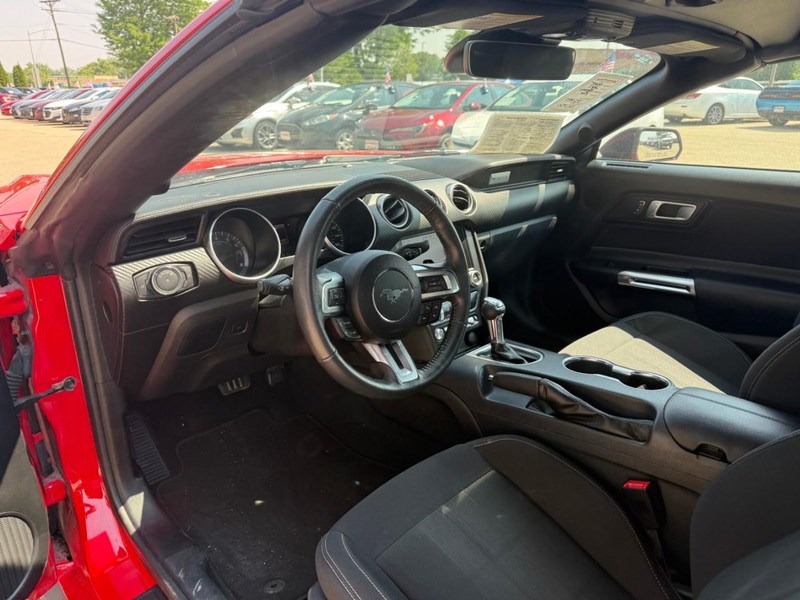 Ford Mustang Vehicle Image 10