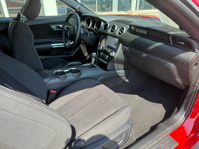 Ford Mustang Vehicle Image 14