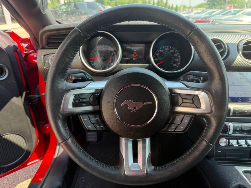 Ford Mustang Vehicle Image 15