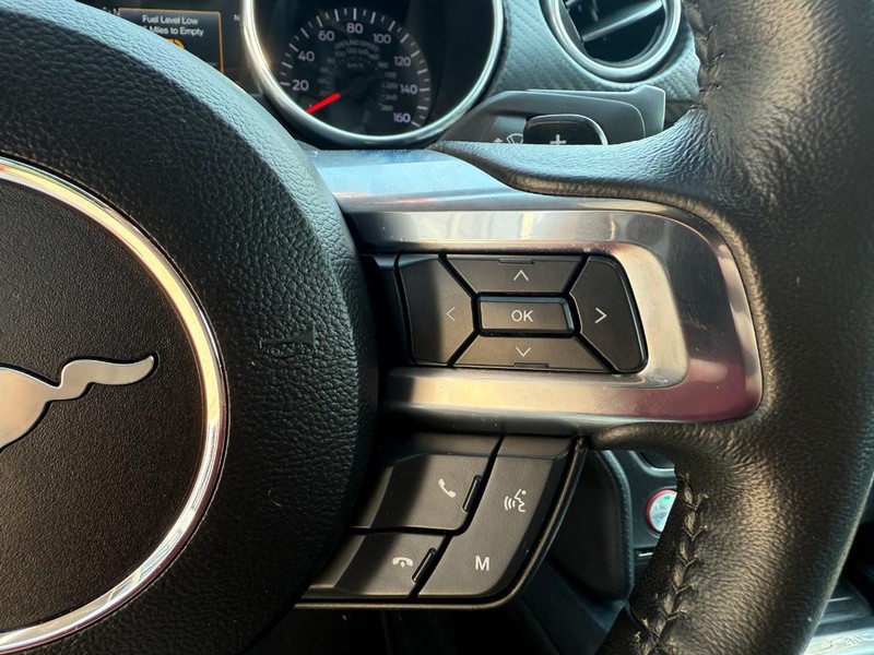 Ford Mustang Vehicle Image 17