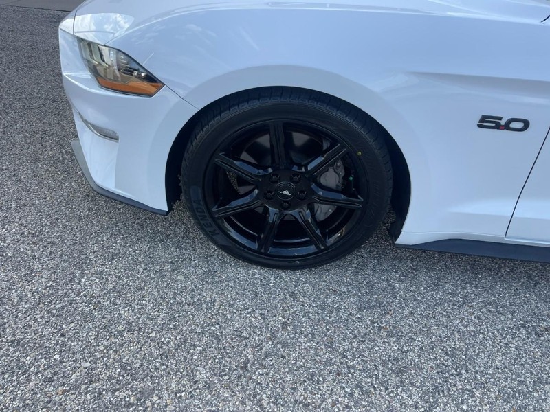 Ford Mustang Vehicle Image 06