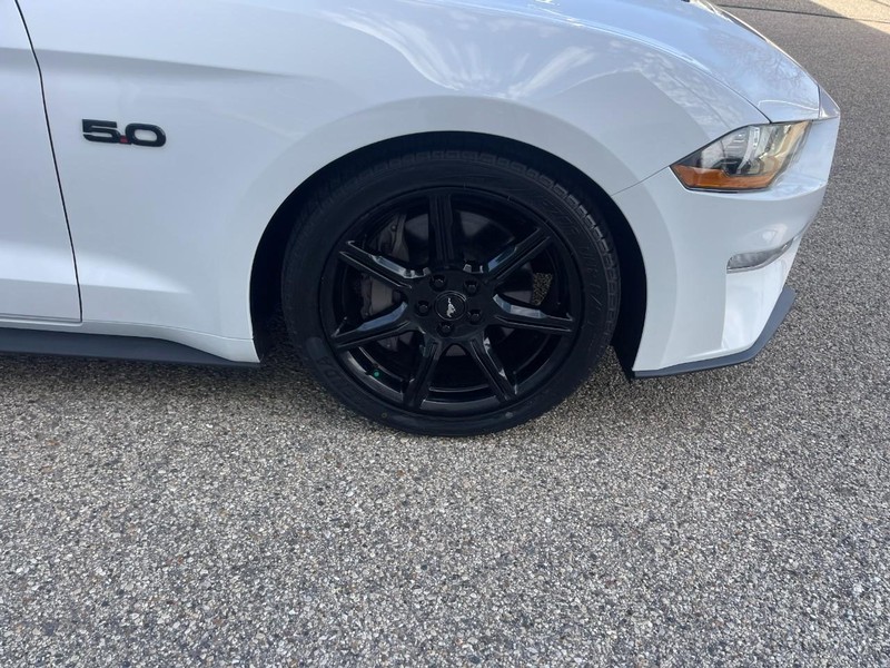 Ford Mustang Vehicle Image 07