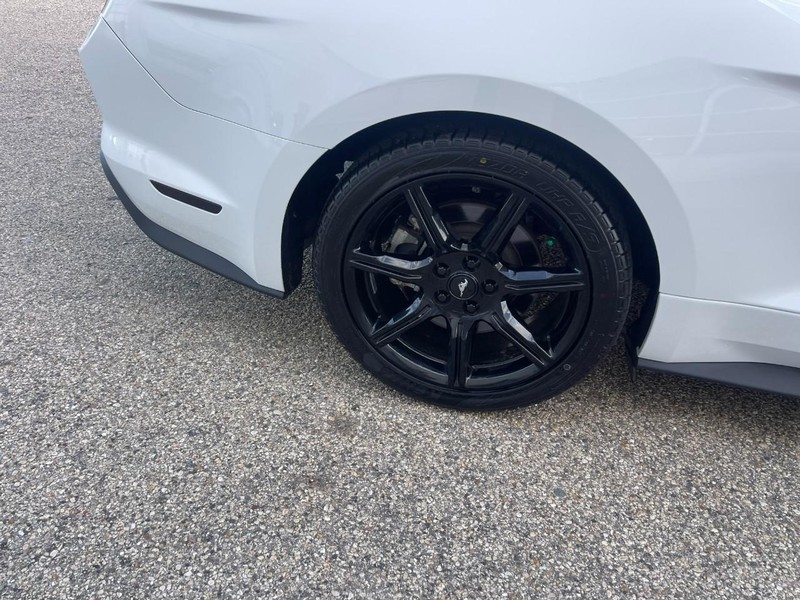 Ford Mustang Vehicle Image 08