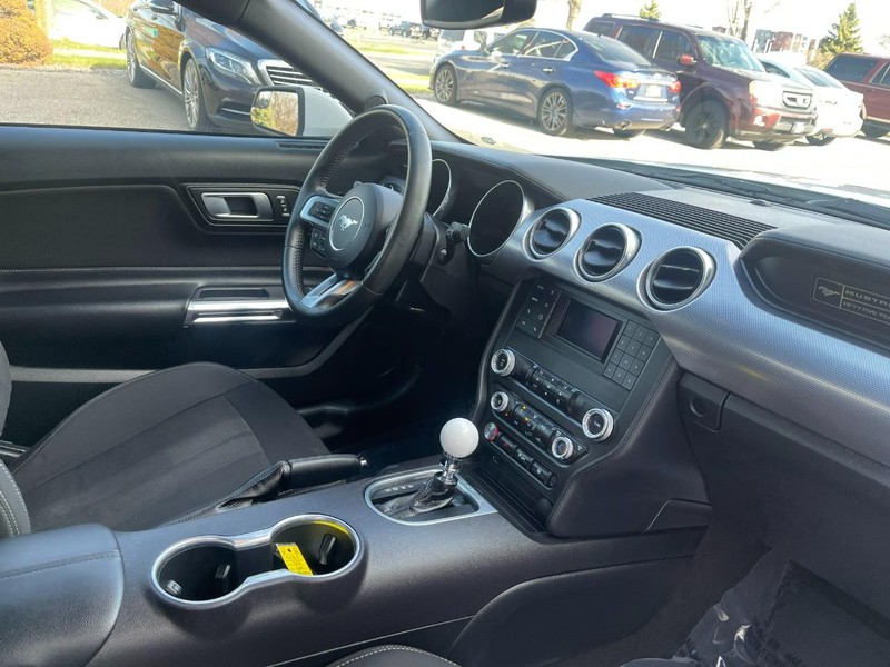 Ford Mustang Vehicle Image 09