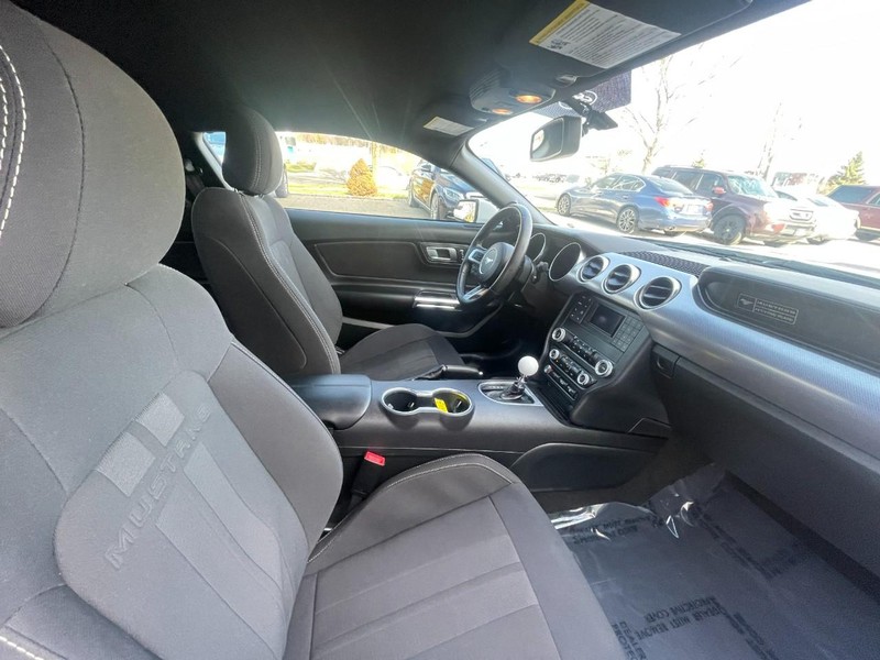 Ford Mustang Vehicle Image 10