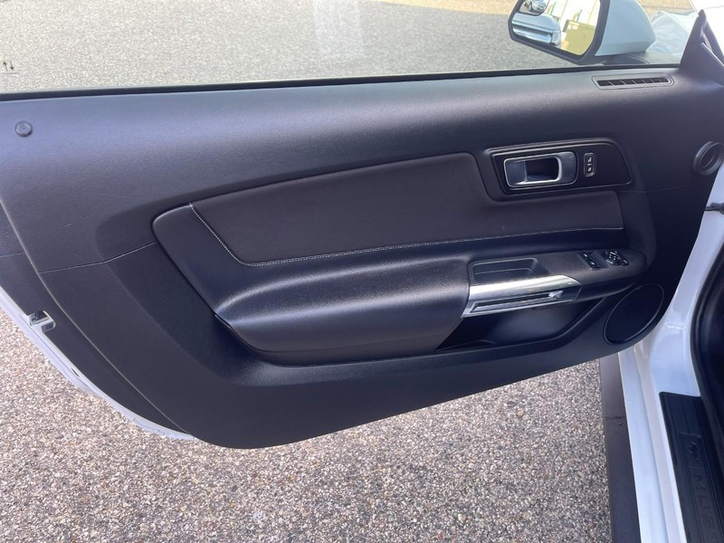 Ford Mustang Vehicle Image 16