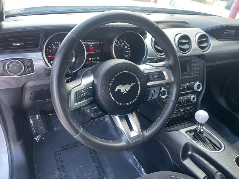 Ford Mustang Vehicle Image 18
