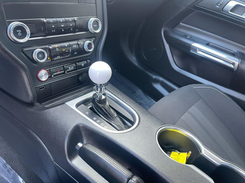 Ford Mustang Vehicle Image 19