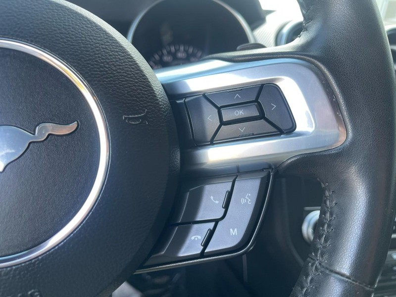 Ford Mustang Vehicle Image 24