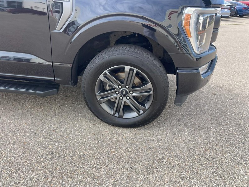 Ford F-150 Vehicle Image 08