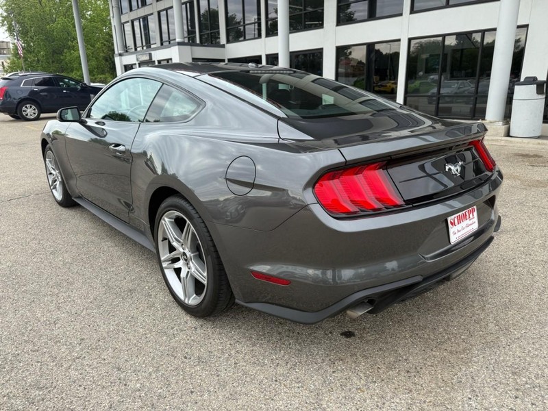 Ford Mustang Vehicle Image 07