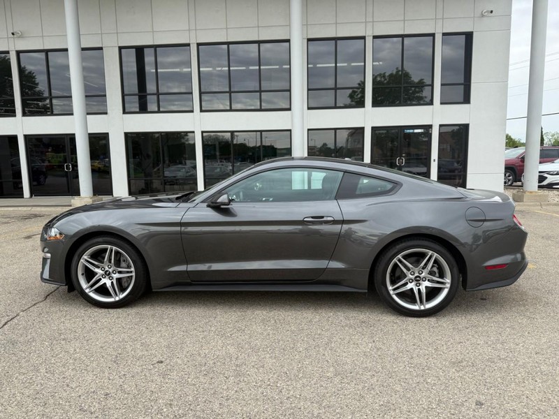 Ford Mustang Vehicle Image 08