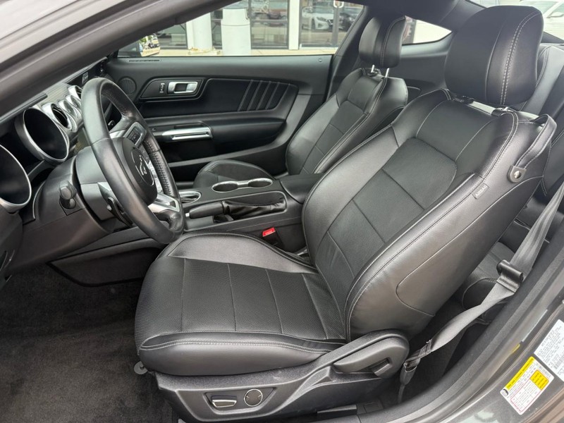 Ford Mustang Vehicle Image 09
