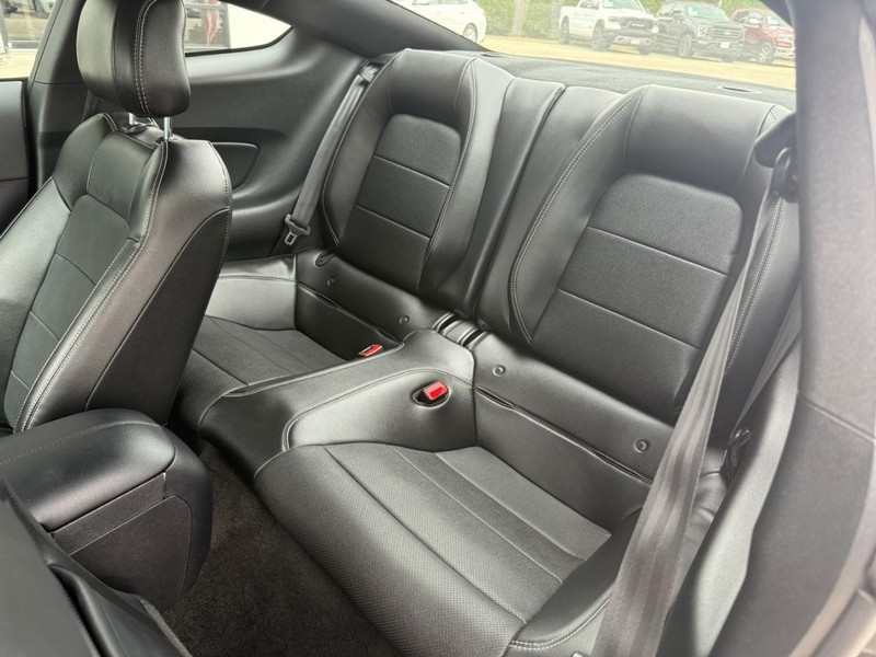 Ford Mustang Vehicle Image 11