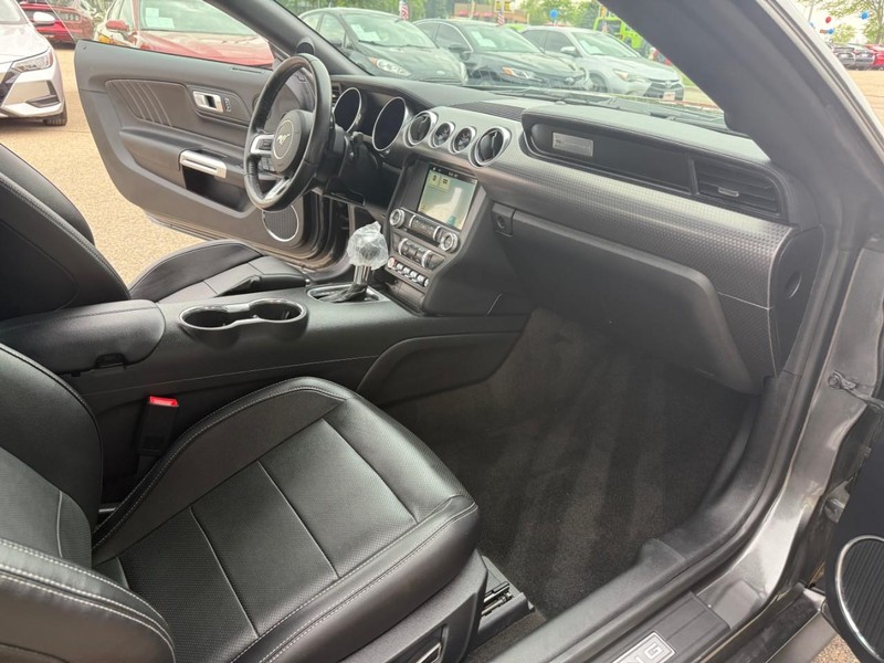 Ford Mustang Vehicle Image 14