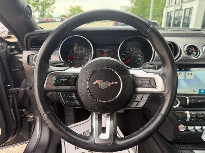 Ford Mustang Vehicle Image 16