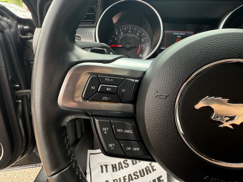 Ford Mustang Vehicle Image 17