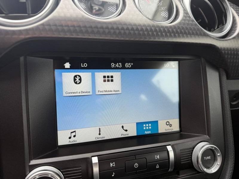Ford Mustang Vehicle Image 22