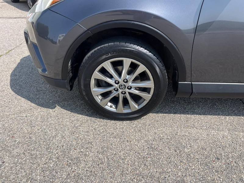 Toyota RAV4 Vehicle Image 06