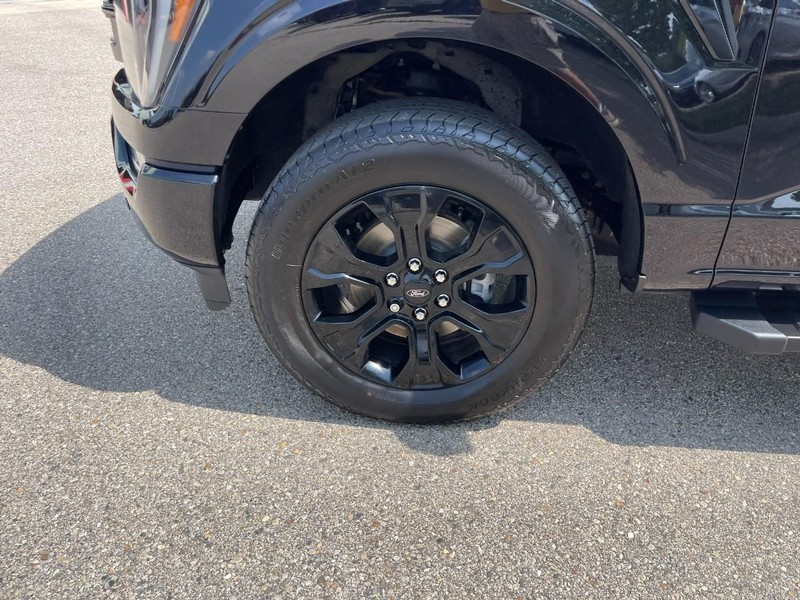 Ford F-150 Vehicle Image 06