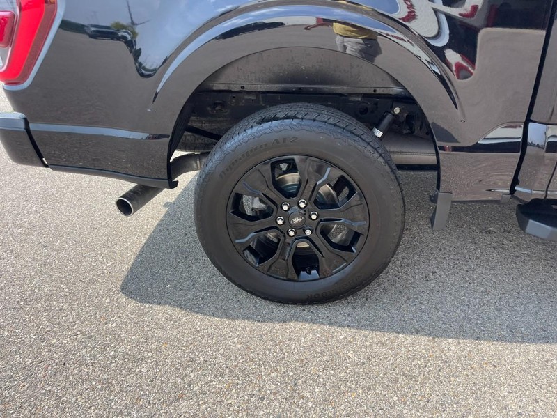 Ford F-150 Vehicle Image 08