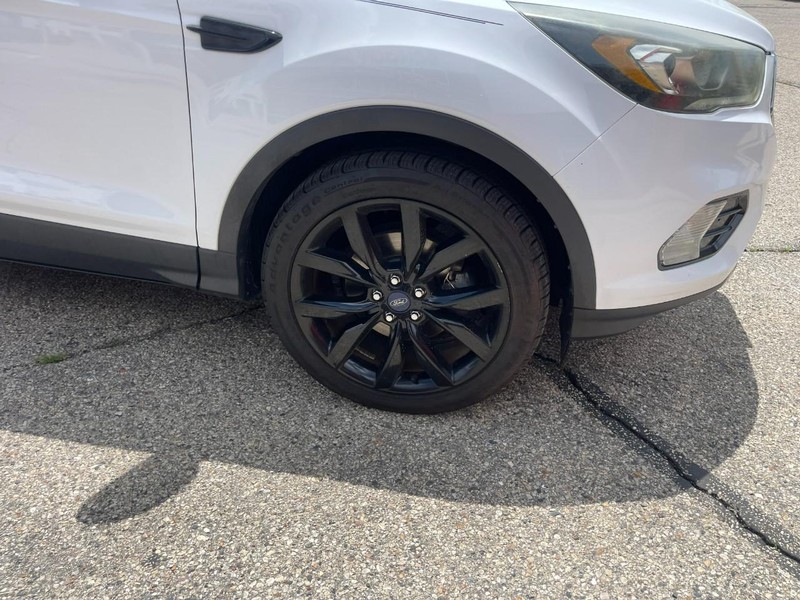Ford Escape Vehicle Image 07