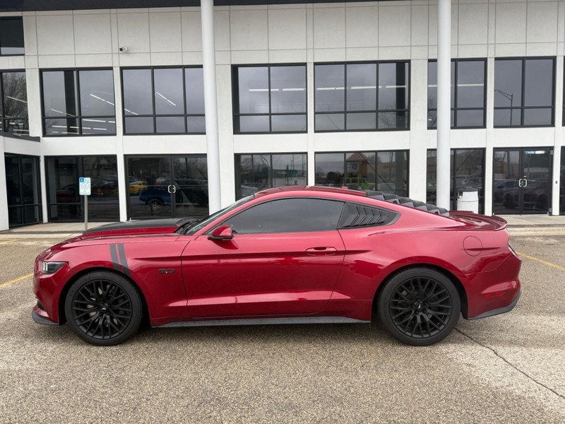 Ford Mustang Vehicle Image 08