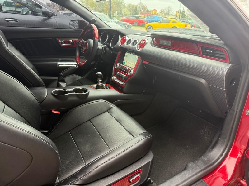 Ford Mustang Vehicle Image 13