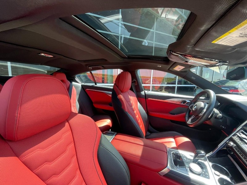 BMW 8 Series Vehicle Image 10