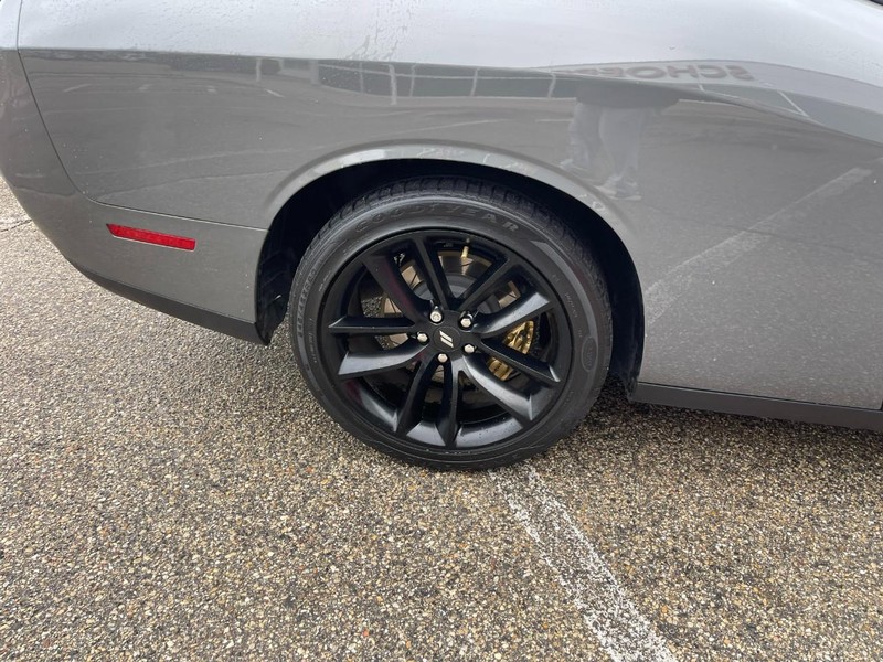 Dodge Challenger Vehicle Image 08