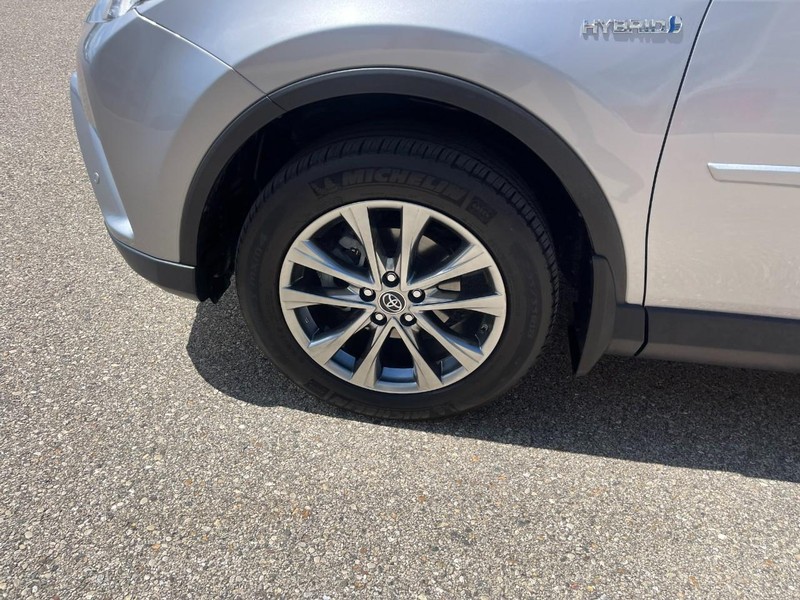 Toyota RAV4 Hybrid Vehicle Image 06
