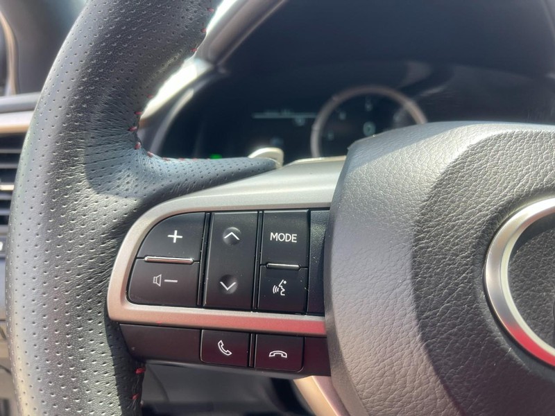 Lexus RX Vehicle Image 28