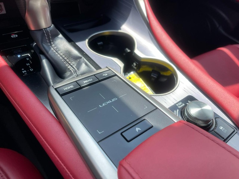 Lexus RX Vehicle Image 41