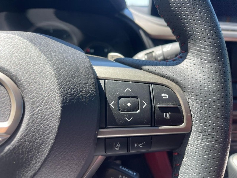 Lexus RX Vehicle Image 26