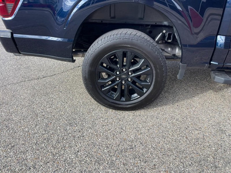 Ford F-150 Vehicle Image 08