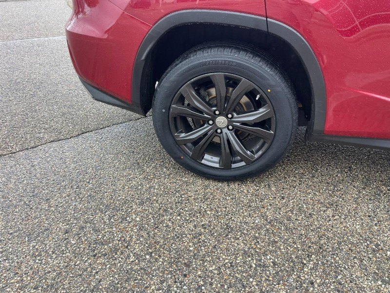 Lexus RX 350 Vehicle Image 08
