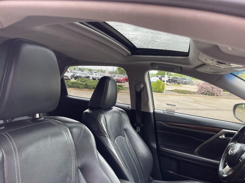 Lexus RX 350 Vehicle Image 10