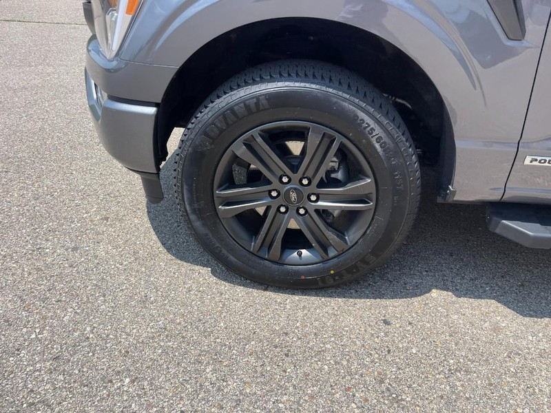 Ford F-150 Vehicle Image 06