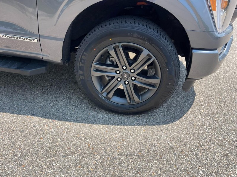 Ford F-150 Vehicle Image 07